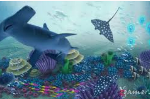 女王赏金赚钱app入口2024最新版